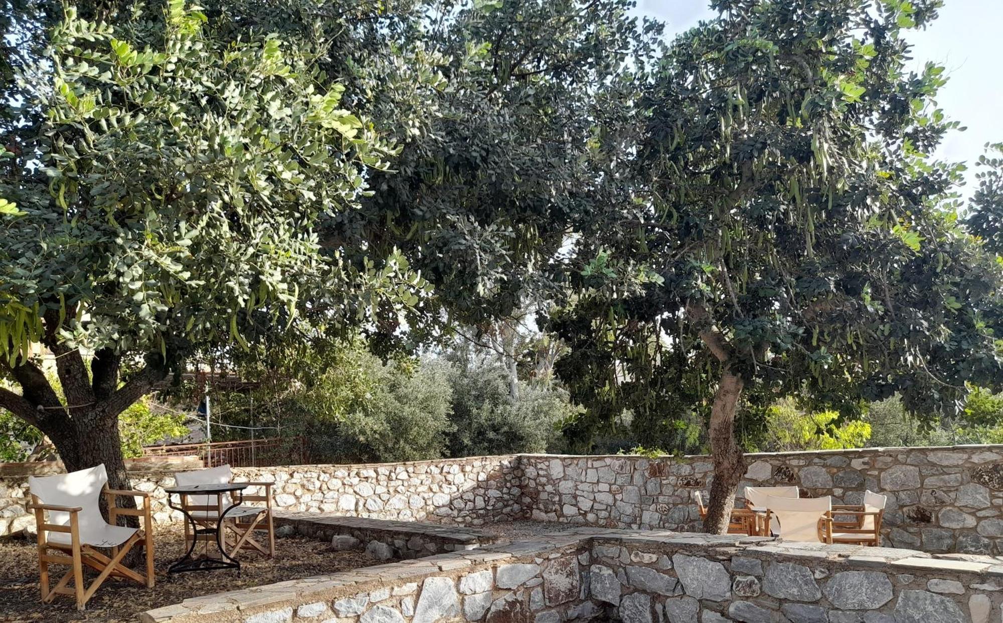The Two Carob Trees, Traditional Stonehouse, Nikandri, Pirgos Diros Apartment Lefkias Exterior photo